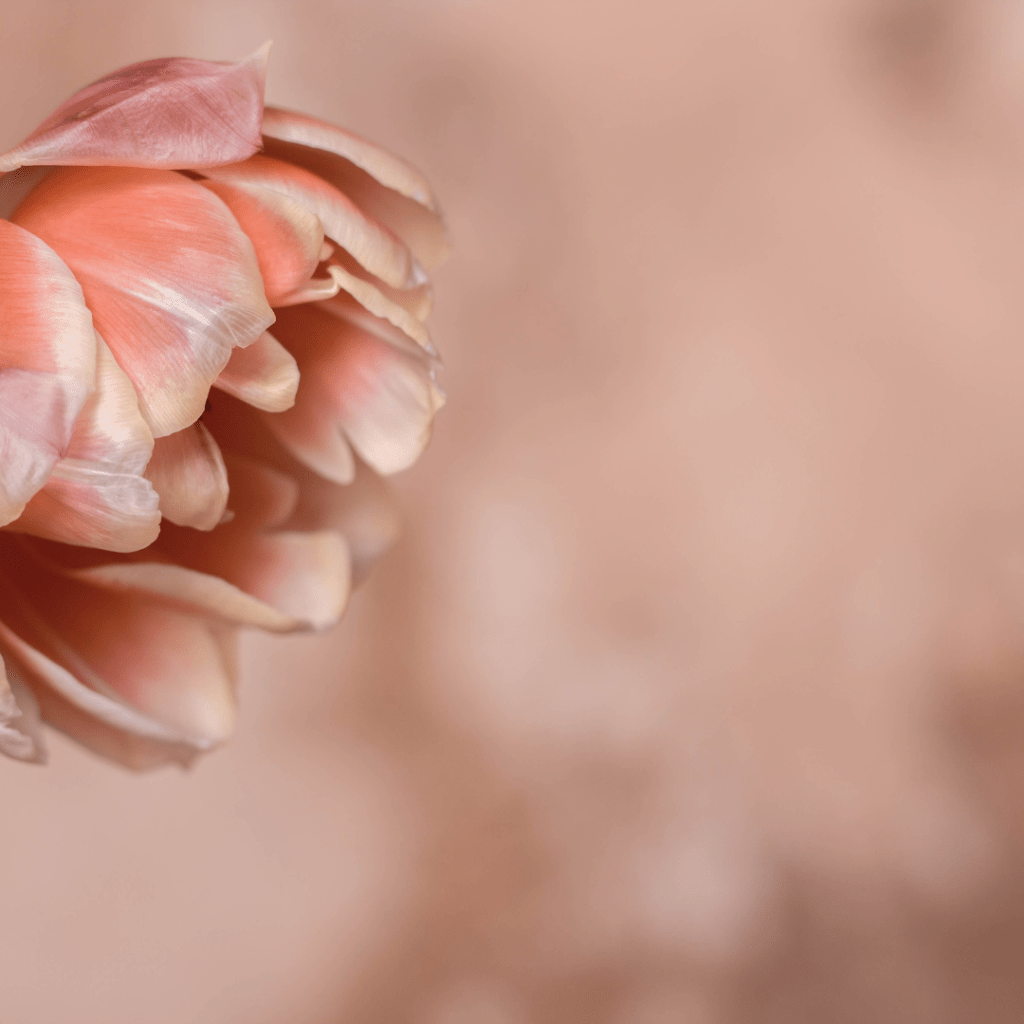 Finding My Way to Being Light On Life