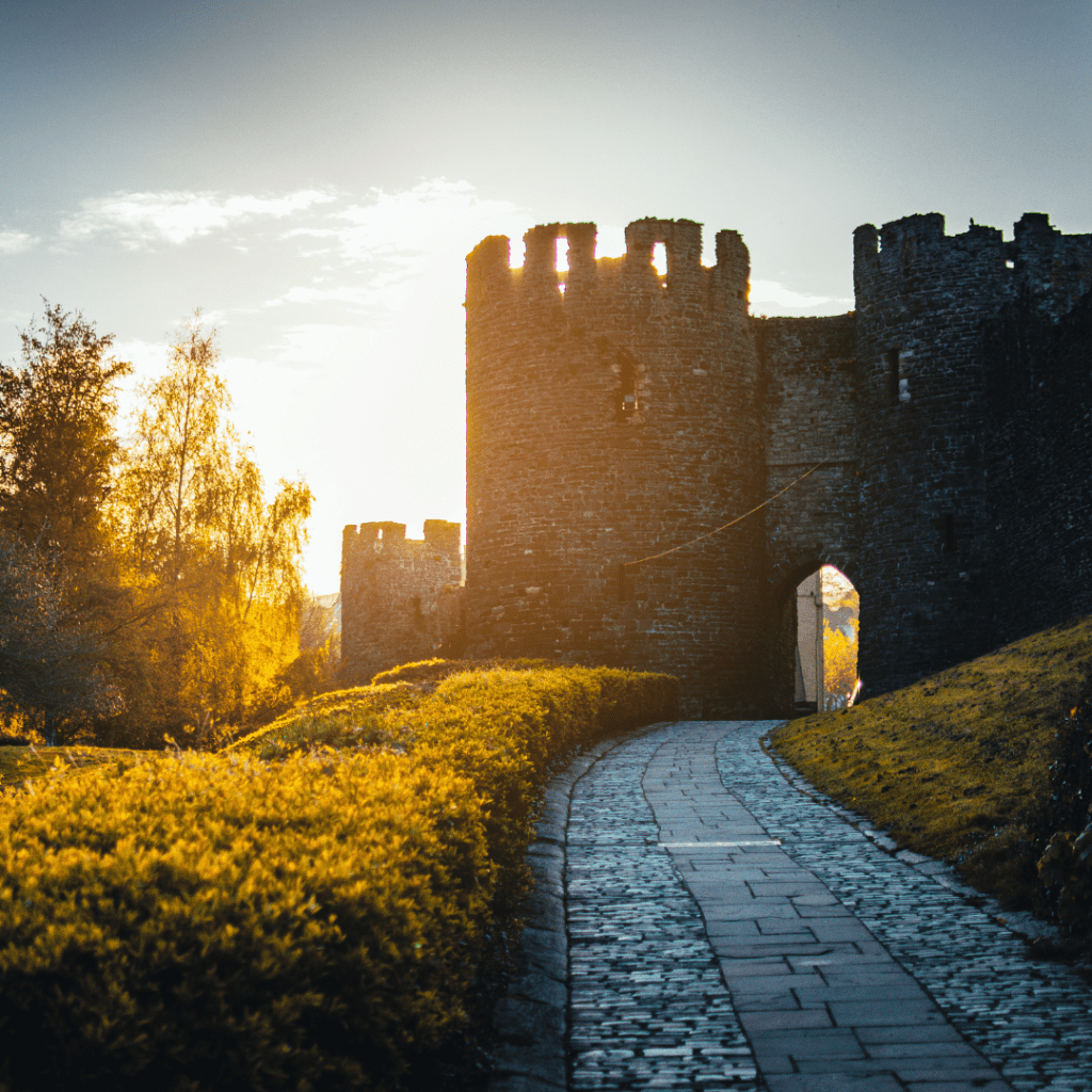 Tearing Things Down to Start Anew